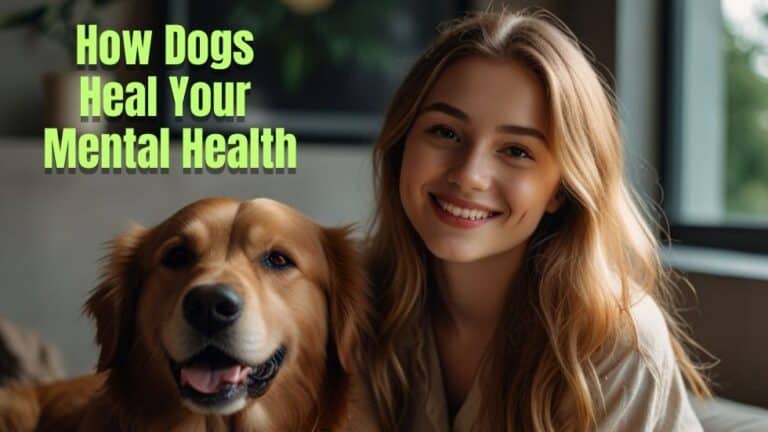 Benefits of Dogs For Mental Health