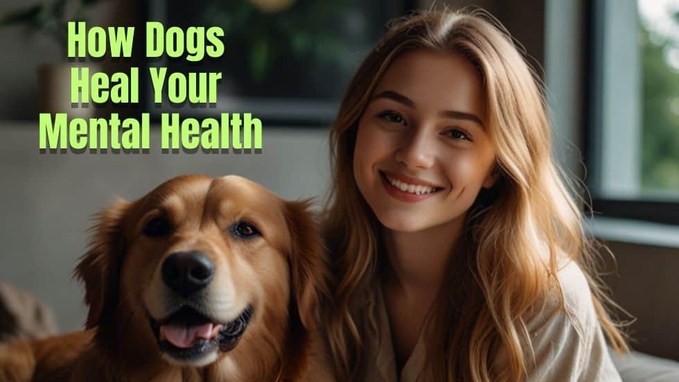 Benefits of Dogs For Mental Health